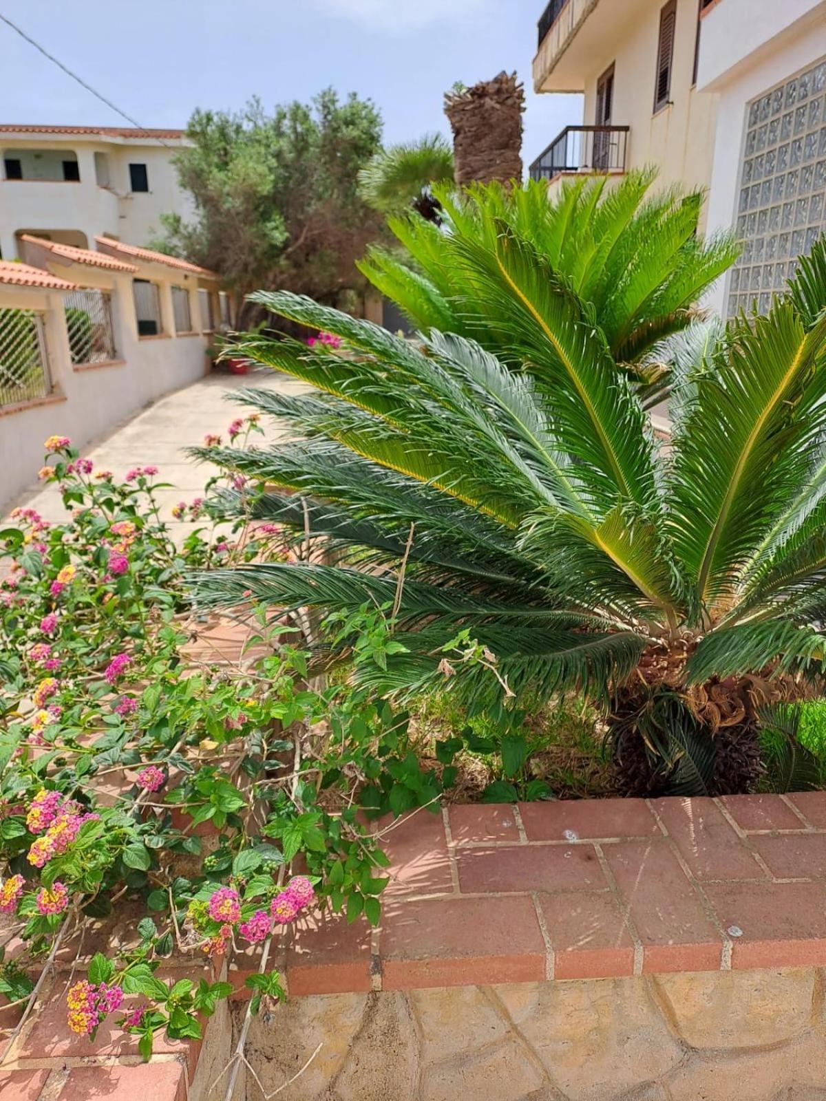 Villa Sul Mare Palazzolo ترابيتو المظهر الخارجي الصورة