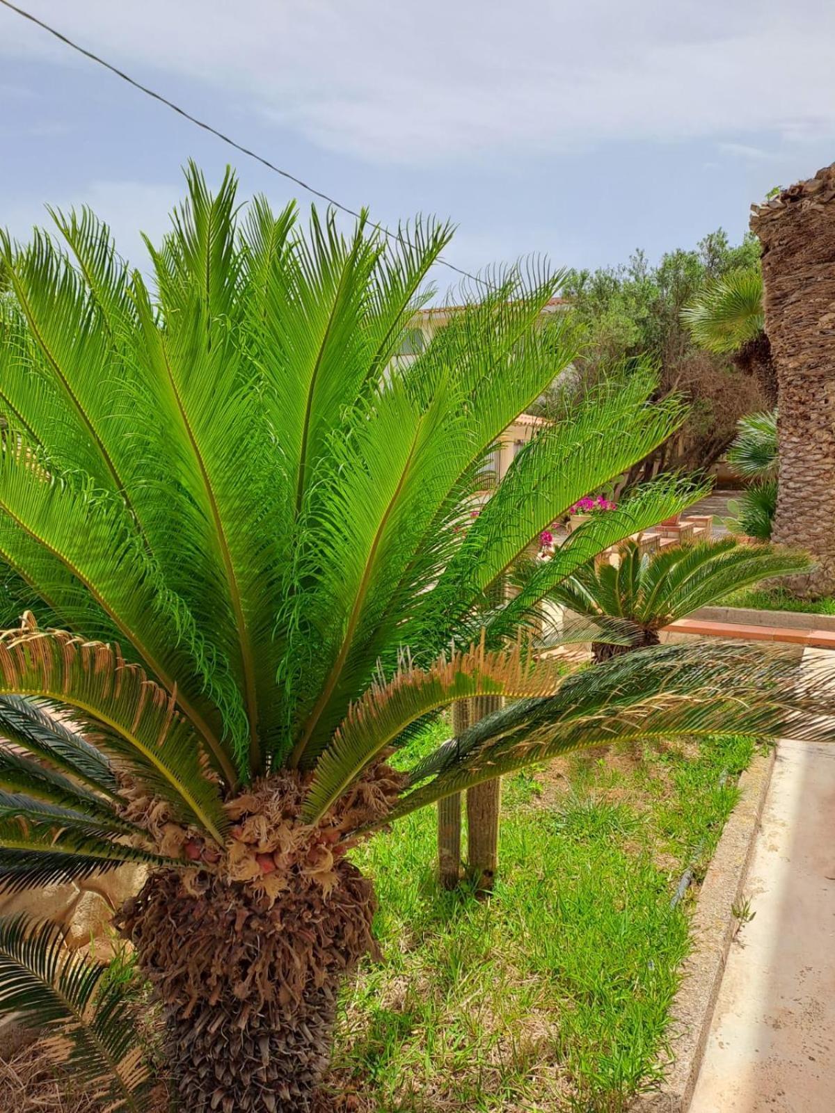 Villa Sul Mare Palazzolo ترابيتو المظهر الخارجي الصورة